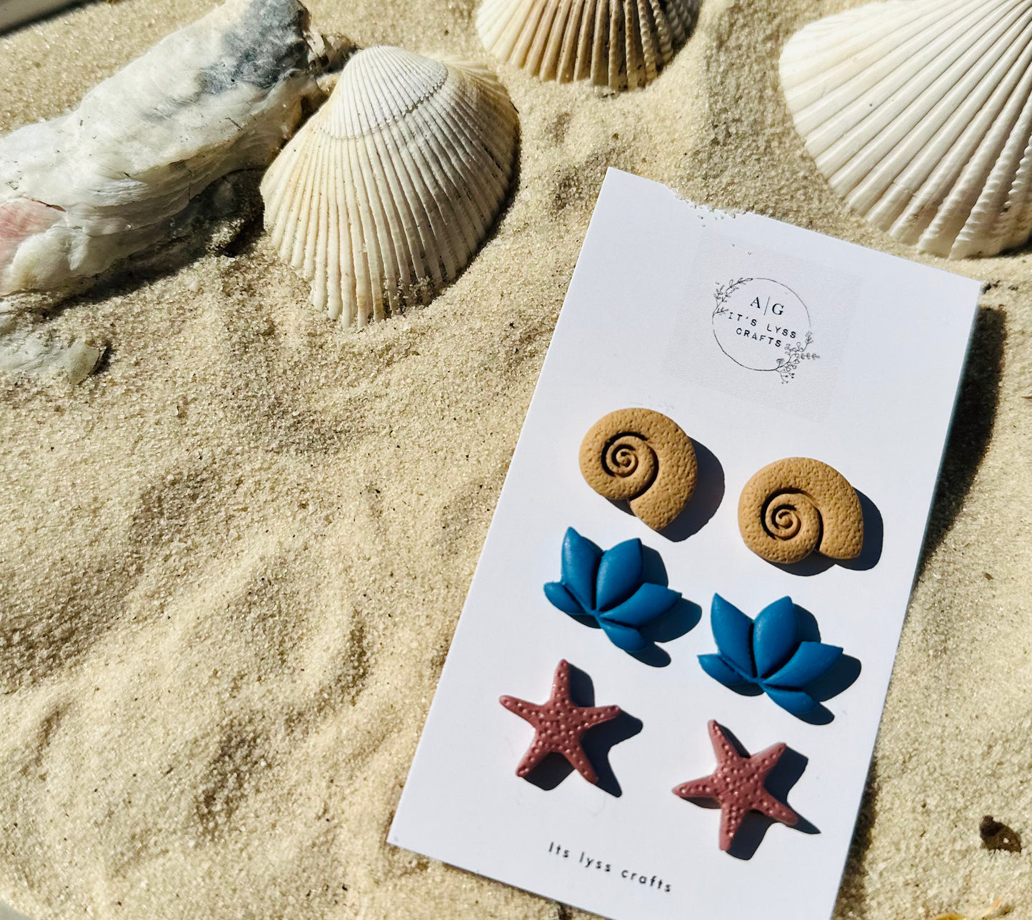 Sea shell stud pack