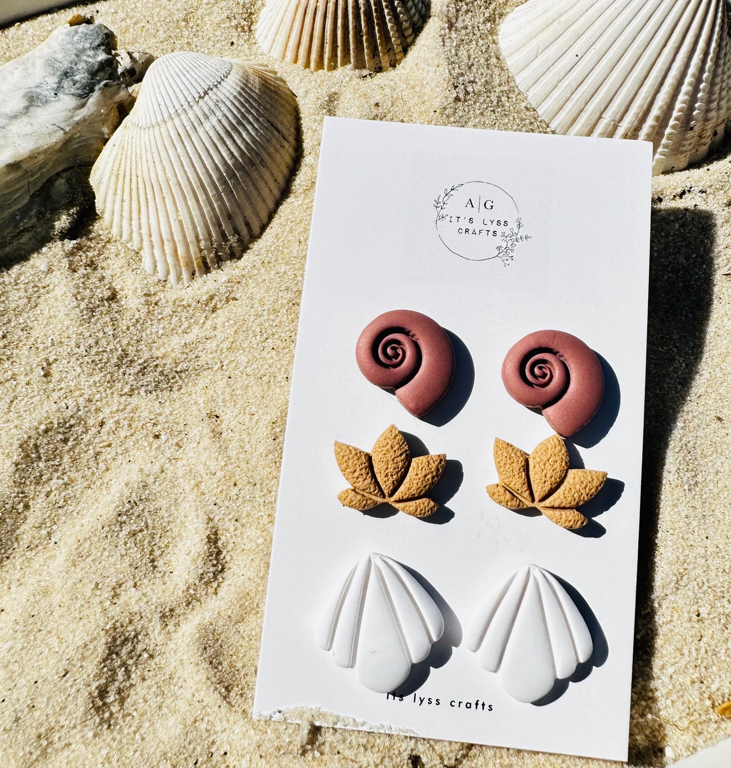 Sea shell stud pack